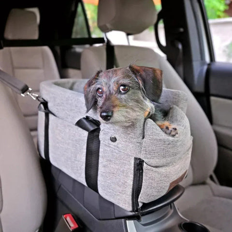 Reisebagasje for bil til hund – Perfekt for små følgesvenner