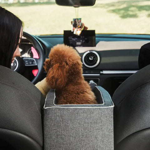 Reisebagasje for bil til hund – Perfekt for små følgesvenner