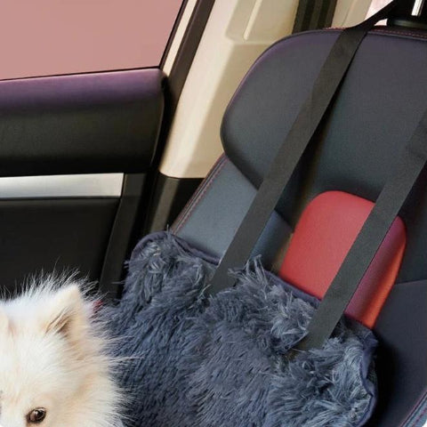 Silla de Coche para Perro – Cómoda y Práctica