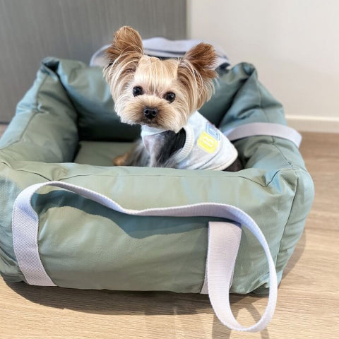 Cojín De Coche Para Perro – Protección Y Suavidad En Ruta 