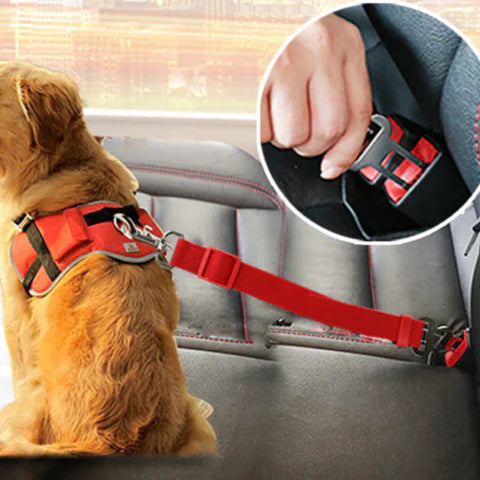 Sicherheitsgurt für Hunde – Reisen in aller Ruhe 