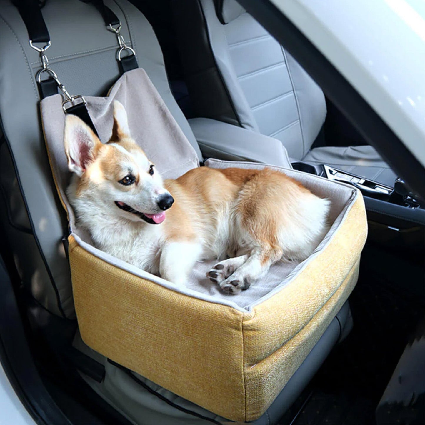Transportkissen für Hunde – Komfort und Sicherheit im Auto 