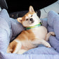 Bilsete for hund – Optimal komfort under transport 