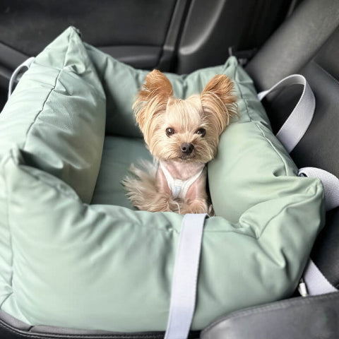 Cojín De Coche Para Perro – Protección Y Suavidad En Ruta 