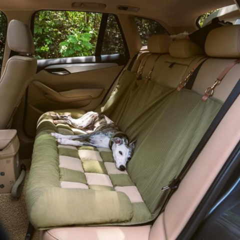 Siège Auto Arrière Pour Chien – Installation Facile Et Stabilité