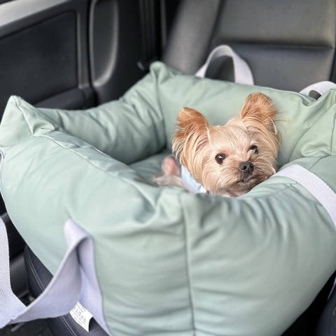 Cojín De Coche Para Perro – Protección Y Suavidad En Ruta 